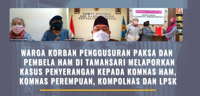 Pink Advocacy Portfolio Website(2)