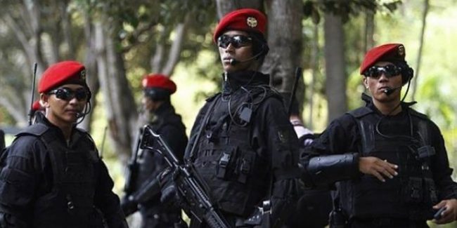 sat-81-gultor-reuters_ratio-16×9-660×330