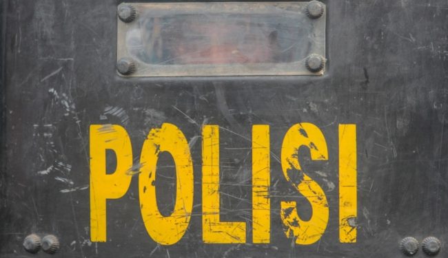 PCKPHOTO52-P1010202089097-7178101b0558a38bc7b91c90427e7741-914×527